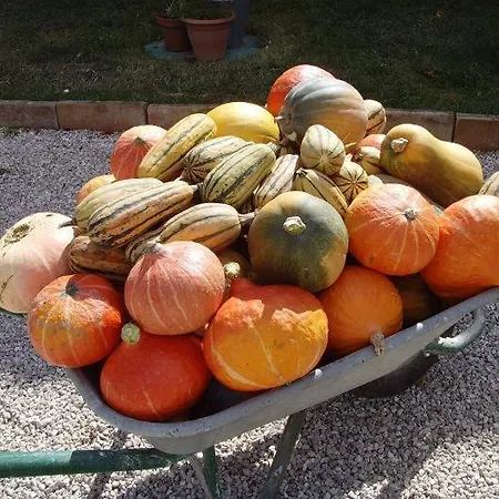 Table D'hotes La Ferme Des Mouleres Bed & Breakfast Saint-Frajou